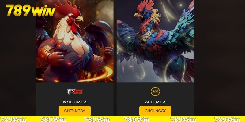Sức hút nổi bật của hai sảnh đá gà tại 789Win